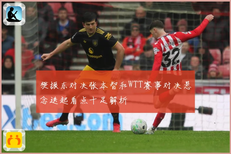 樊振东对决张本智和WTT赛事对决悬念迭起看点十足解析