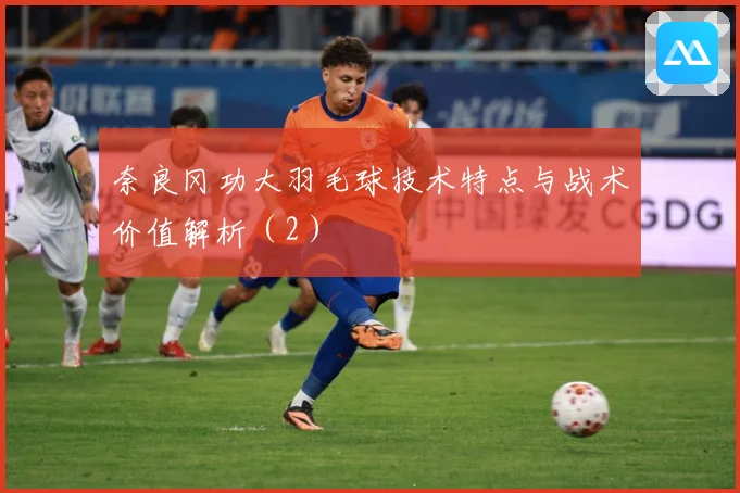 奈良冈功大羽毛球技术特点与战术价值解析（2）